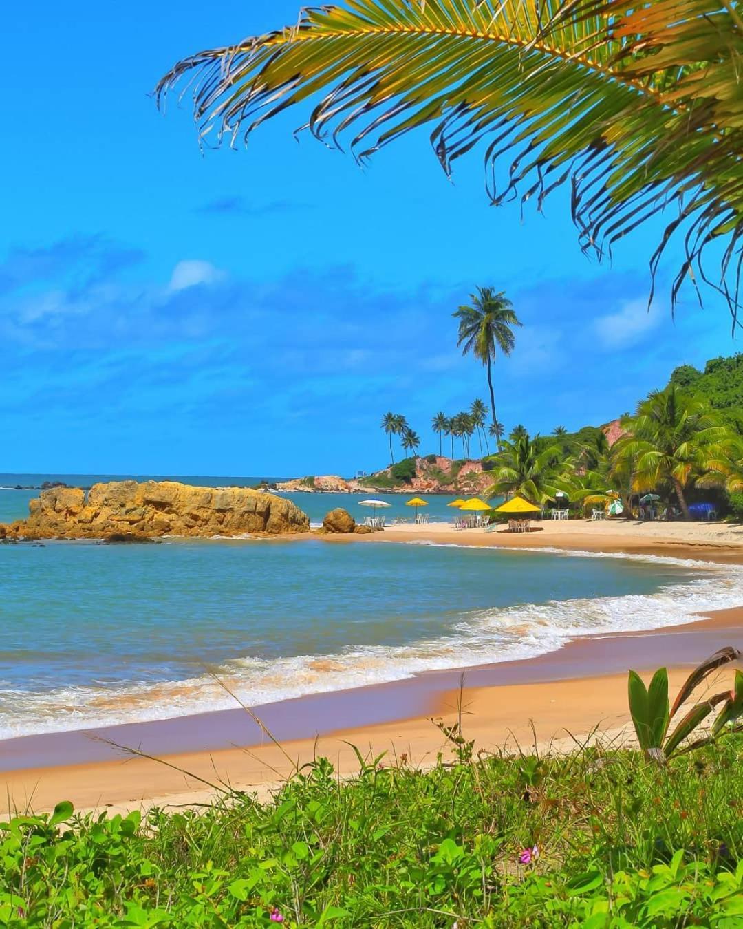 Flat Tabatinga Nord, Vista Para O Mar Конді Номер фото